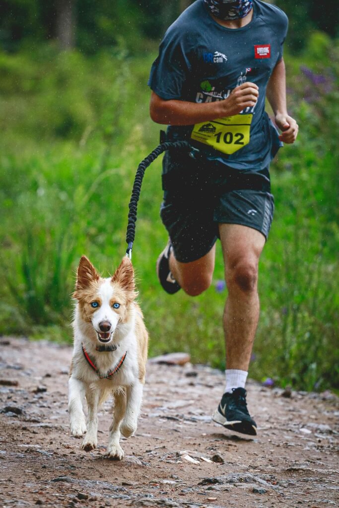 Runner and energetic dog on a dirt trail. Perfect capture of active lifestyle and companionship.
